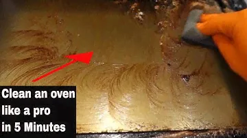 How to clean an oven like a pro in 5 minutes -  DIY Selleys